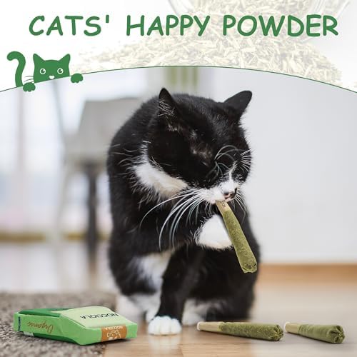 Nocciola 3 Pack Catnip Toys for Cats, Funny Cat Toys Filled - Image 4