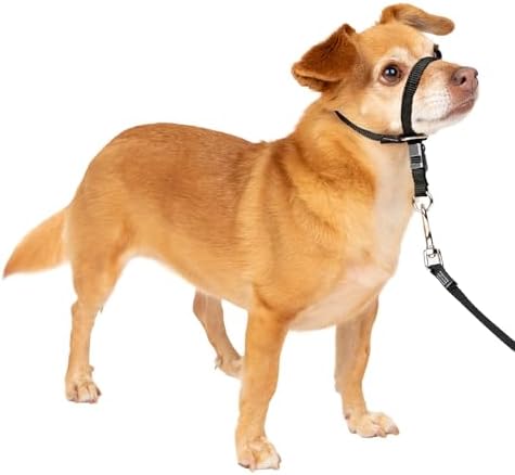 PetSafe Gentle Leader No Pull Dog Headcollar by PetSafe