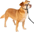 PetSafe Gentle Leader No Pull Dog Headcollar by PetSafe