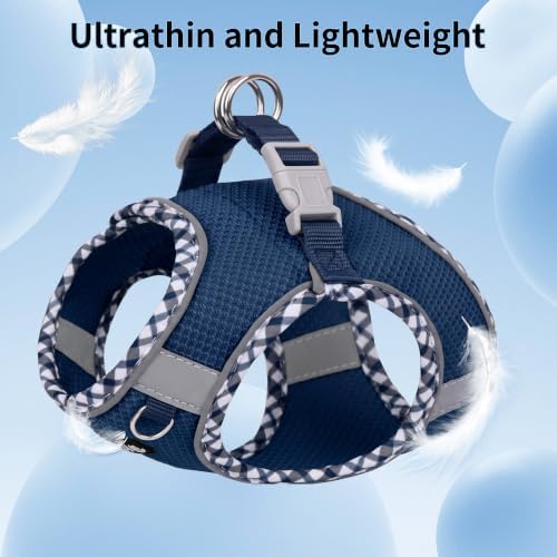 AIITLE Breathable Dog Harness Small Sized and Leash Set - Image 6