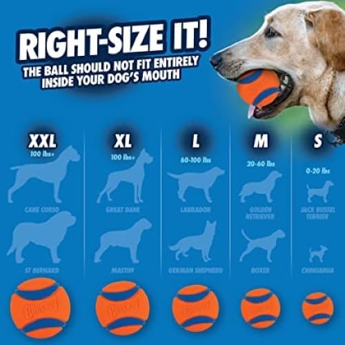 Chuckit! Ultra Ball Dog Toy - Image 5