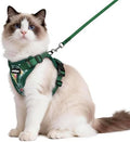 rabbitgoo Cat Harness and Leash Set, Escape Proof Vest, Rainforest Green by rabbitgoo