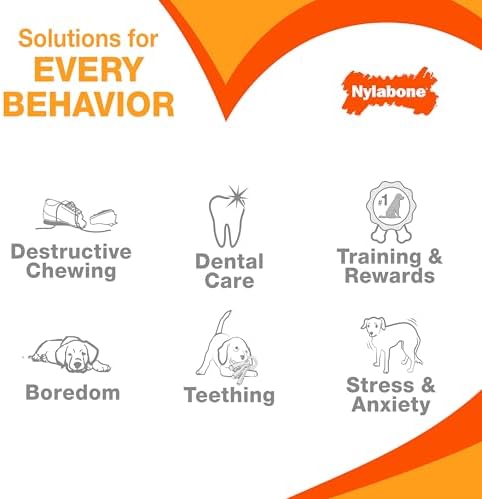Nylabone Power Chew Original Bone Dog Chew Toy, Bacon Flavor - Image 6
