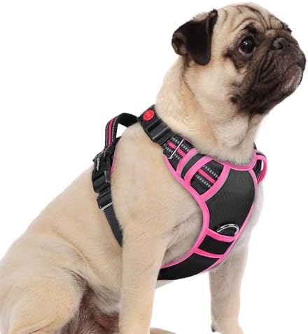 rabbitgoo Dog Harness Small Sized, No Pull 3 Buckles Easy On & Off by rabbitgoo