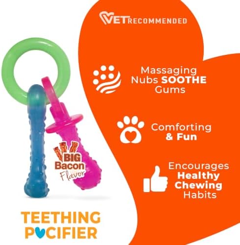 Nylabone Puppy Pacifier Chew Toy, Teething Toys - Image 5
