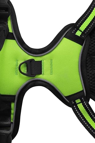 Green No-Pull Dog Harness with 2 Leash Clips，Soft Padded Vest - Image 3