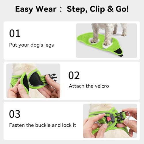 Joytale Step-in Dog Harness, Soft Breathable Mesh - Image 3