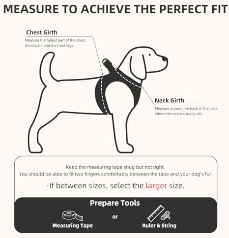 PUPTECK Dog Harness, Collar and Leash Set No Pull - Image 2