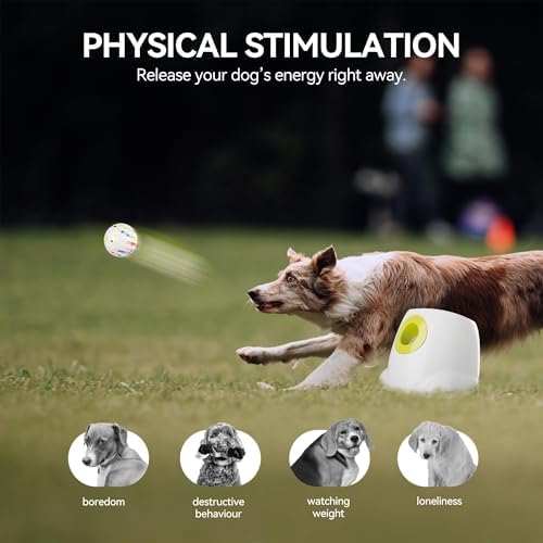 AFP Automatic Dog Ball Launcher - Image 2
