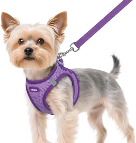 rabbitgoo Dog Harness Small Sized and Leash Set, Step in Soft Vest by rabbitgoo