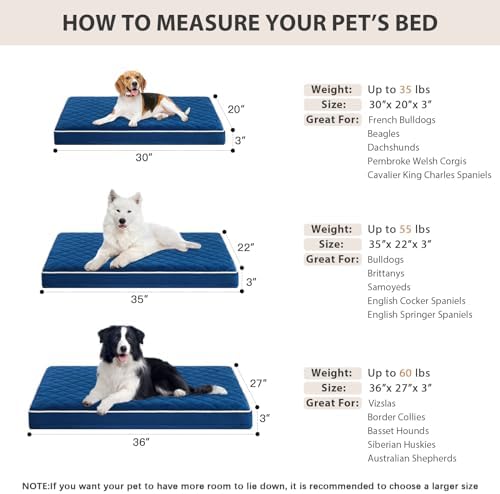 WNPETHOME Orthopedic Waterproof Dog Bed Medium - Image 5