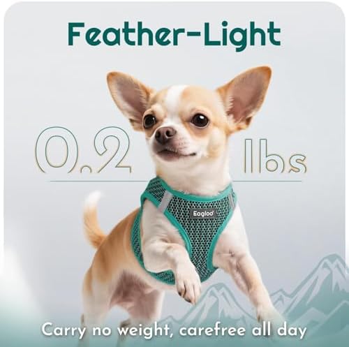 Eagloo Small Dog Harness and Leash Set, Step in Small Sized Puppy Pet Vest - Image 5