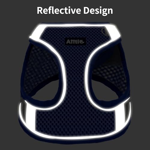 AIITLE Dog Harness and Leash Set, Step-in Puppy Pet Vest, Royal Blue XXXS - Image 3