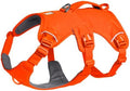 Ruffwear, Web Master Dog Body Harness, Blaze Orange by RuffwearInc