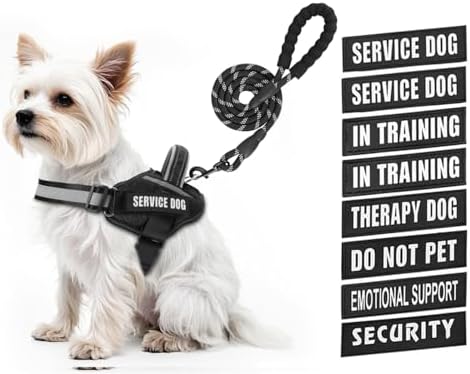 Service Dog Vest Harness and Leash Set, Animire in Training Dog Harness by Animire