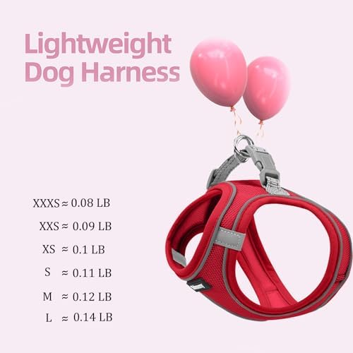 Solmoony Sparkly XS Dog Harness and Leash Set, Step in Soft Light Puppy Vest - Image 5