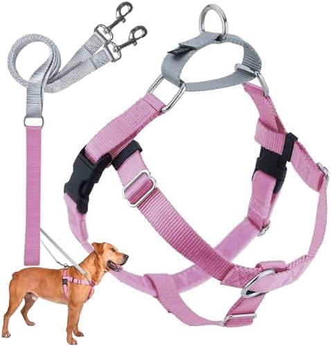 2 Hounds Design Freedom No Pull Dog Harness and Leash, 5/8" SM by 2HoundsDesign