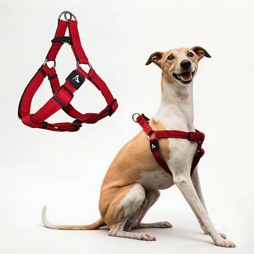 No Pull Dog Harness Medium Size Dog | Adjustable Heavy Duty Pet Harness by KRUZPET