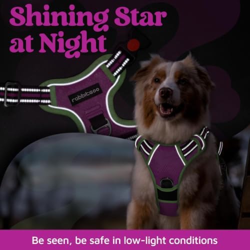 rabbitgoo Dog Harness Medium Sized, No Pull 3 Buckles Easy On & Off - Image 6