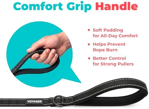 Best Pet Supplies Voyager Nylon Dog Leash - 6ft Black - Image 5