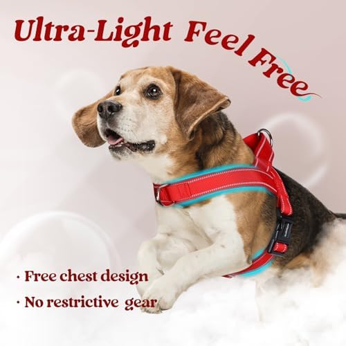 rabbitgoo Dog Harness No Pull, Quick Fit - Image 5