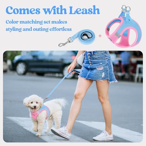rabbitgoo Dog Harness Small Sized and Leash Set, Step-in Puppy Pet Vest - Image 5