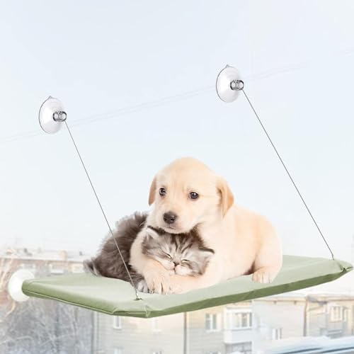 4 Pcs Thick Suction Cup Cat Window Perches Window Hammock Replacement Suction - Image 6