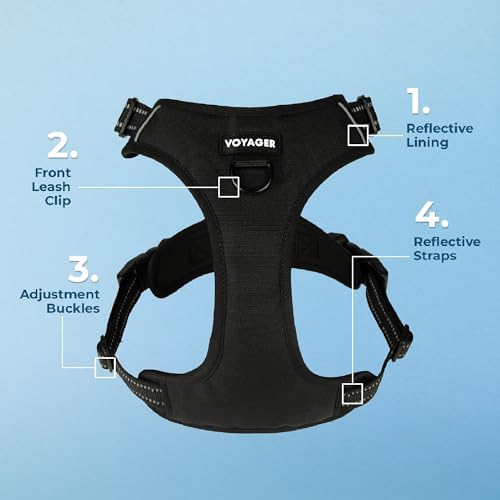 Voyager Dual Attachment No Pull Harness - Image 4