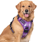 rabbitgoo Dog Harness, No Pull for Large Dogs by rabbitgoo