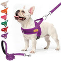 BEAUTYZOO Dog Harness Medium Sized and Leash Set, No Pull Step in Pet Vest by BEAUTYZOO