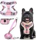 PUPTECK Dog Harness and Leash Set Medium Sized, Step in No Pull Adjustable by PUPTECK