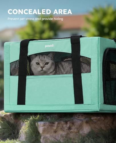 Pecute Cat Carrier Stable, Pet Carrier - Image 4