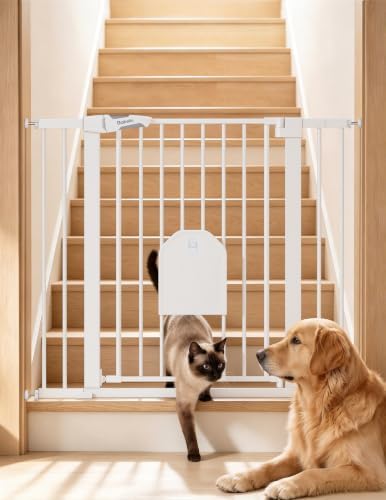 Babelio 36" Tall Dog Gate with Adjustable Cat Door, CatPrivilege I by BABELIO