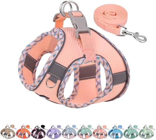 AIITLE Medium Dog Harness and Leash Set by AIITLE-FORPETSBETTERLIFE