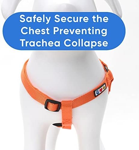 Pawtitas Medium Orange Dog Harness - Image 4