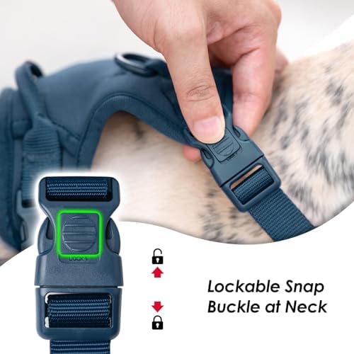 Sunraymascota No Pull Dog Harness - Image 3