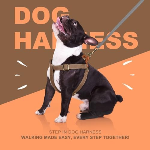Didog Step in Dog Harnes for Medium Dogs, Chest 19-28" - Image 5