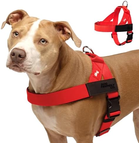 Dog Friendly Co. Dog Harness for Medium Dogs, Adjustable by DogFriendly