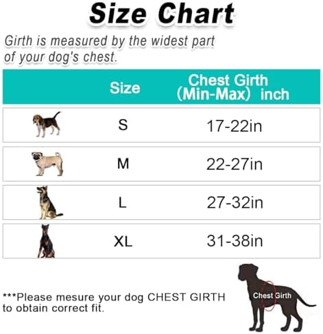 BARKBAY Dog Harness for Small Sized Dog No Pull 2 Clips 3 Buckles Dog Vest - Image 6