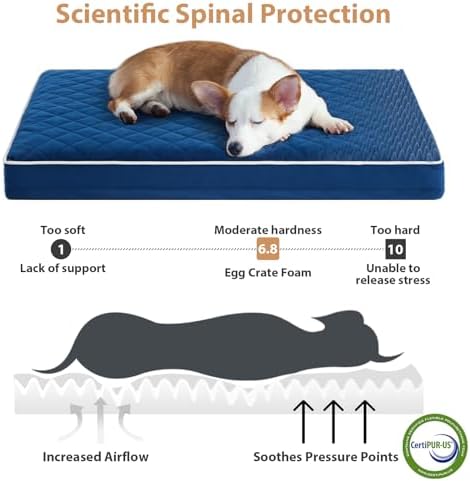 WNPETHOME Orthopedic Waterproof Large Sized Senior Dogs Bed - Image 3