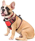 WINSEE Dog Harness No Pull, Pet Harnesses by WINSEE