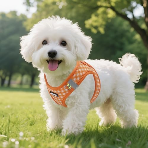 AIITLE Step in Medium Dog Harness and Leash Set, Puppy Pet Vest - Image 6