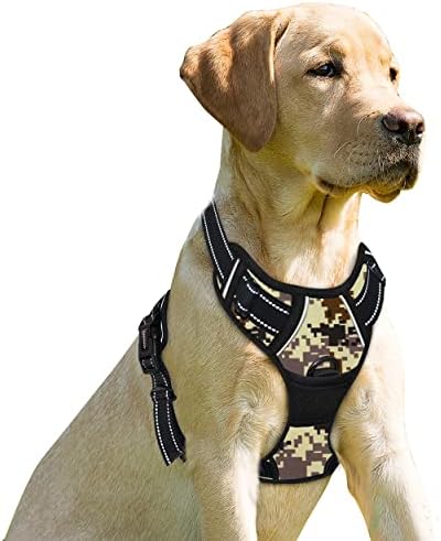 BARKBAY Dog Harness No Pull for Small Sized Dog Front Back Clips, Dog Vest by BARKBAY