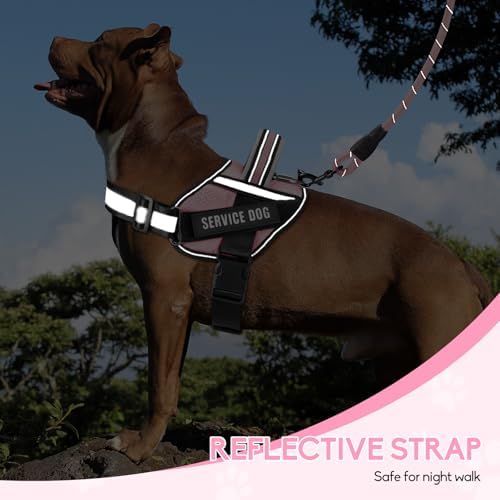 Service Dog Vest Harness and Leash Set, Animire in Training Dog Harness - Image 5