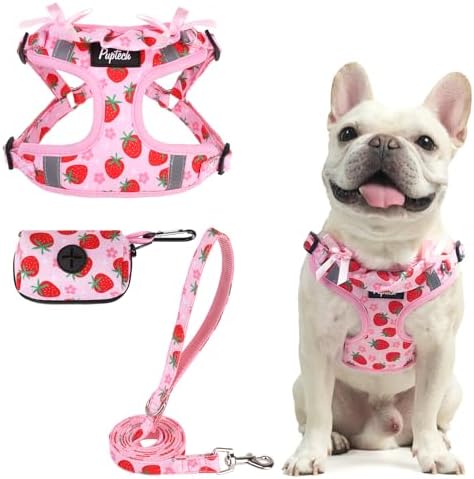 PUPTECK Dog Harness and Leash Set Medium Sized, Step in No Pull Adjustable by PUPTECK