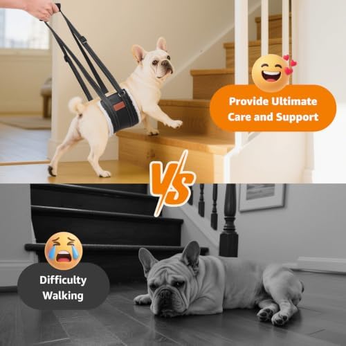LOOBANI Portable Dog Sling for Small Dogs Hind Leg Support Weak Rear Legs - Image 2