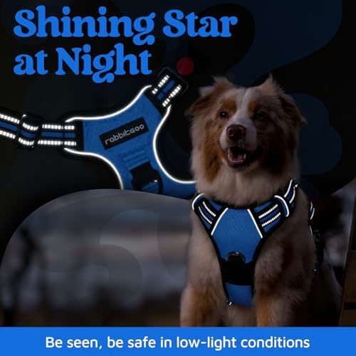 rabbitgoo Dog Harness Small Sized, No Pull 3 Buckles Easy On & Off - Image 6