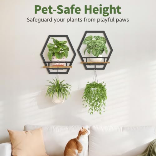 LASZOLA Plant Picture Frame Holder Shelf Wall Window Indoor - Image 6