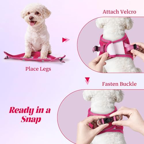 No Pull Dog Puppy Harness and Leash Set Reflective Mesh Vest X-Small - Image 4