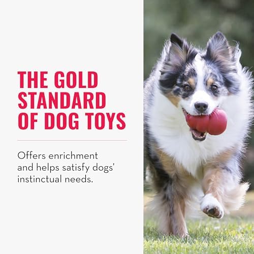 KONG Classic Stuffable Dog Toy, Natural Rubber Chew, - Image 4